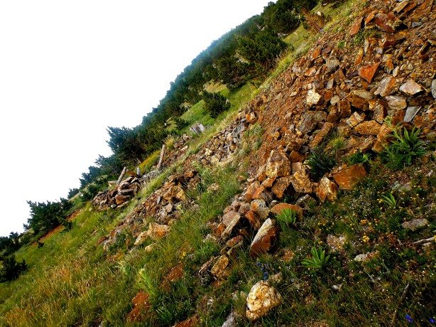 Three rock foundations showing the site of three miner's dugouts