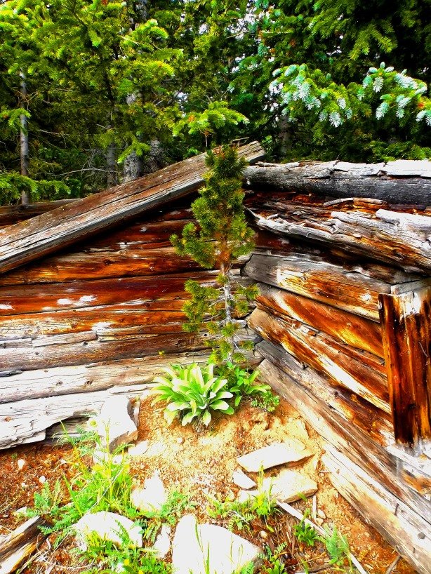 Nature takes her course