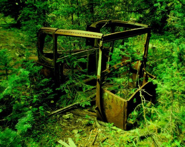 How long will this old Ford remain hidden in the pines untouched before someone finds it and steals it or shoots it full of holes?