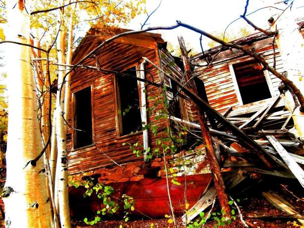 10633485_10204847482447066_127894196852197394_o