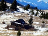 Abandoned home at Goldfield, coyote to the right